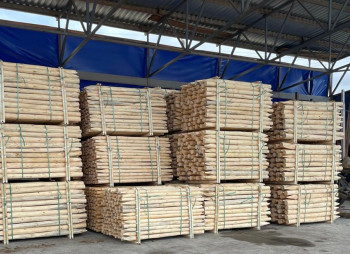 Operating Woodworking Enterprise in Volyn Region for Sale