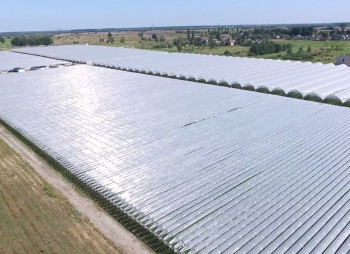 90 ha Strawberry Greenhouse Complex in the Kyiv Region for Sale