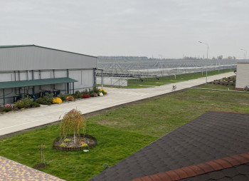 90 ha Strawberry Greenhouse Complex in the Kyiv Region for Sale
