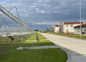 90 ha Strawberry Greenhouse Complex in the Kyiv Region for Sale