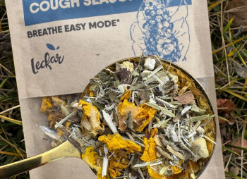 Інвестиції в чайний бізнес на ринку США