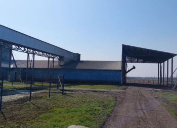 Продаж масложирового комбінату повного циклу 200 т/добу в Дніпропетровській області