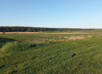 Продаж ягідно-овочевого бізнесу у Київській області