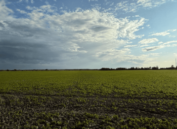 Продаж агрокомпанії 700 га в Житомирській області