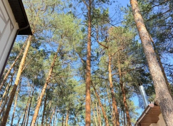Продажа загородного доходного дома 1 230 м² в Козине, Конча-Заспа