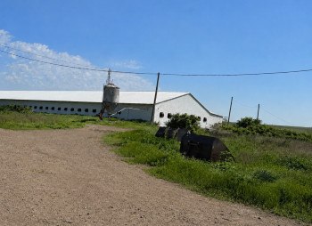 Продажа птицеводческого комплекса полного цикла в Николаевской области