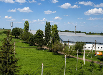 Продажа птицеводческого комплекса полного цикла в Николаевской области