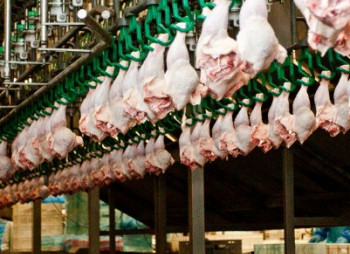 Скандальный бразильский производитель мяса JBS продает активы на $1,8 млрд