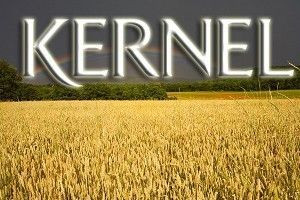 Агропромышленная компания 