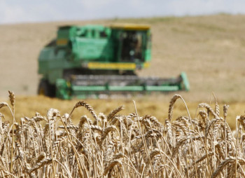 Кабмин пообещал аграриям 550 млн. грн