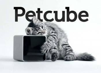 Украинский Petcube побил рекорд, собрав на Kickstarter $251 тыс.