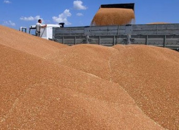 Инвесторы могут вложить в зерновую логистику Украины