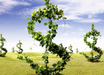 Украинские агрокомпании рассчитывают на кредиты ЕБРР