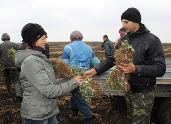 Мрия Агрохолдинг инвестирует в пилотный сельскохозяйственный кооператив «Файна Поляна»