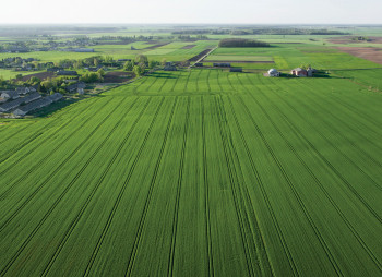 Аграрный сектор Украины 2015