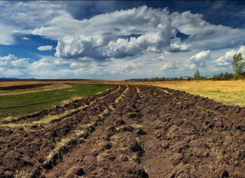 Покупка и продажа агрокомпаний, земли сельхозназначения, агробизнеса в Украине