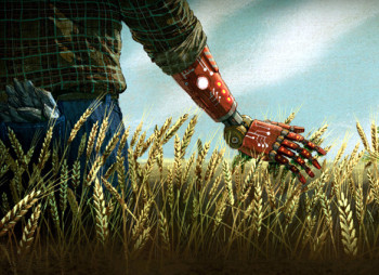 Ag Tech стартапы завоевывают популярность в агросекторе