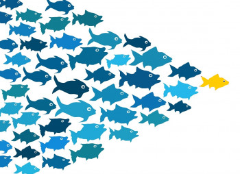 Key Trends in Ukrainian M&A