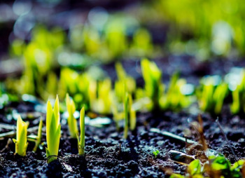  Макроэкономический обзор Украины: убедительные признаки восстановления