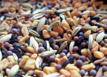 Продаются права требования по кредиту крупного дистрибьютора семян, СЗР, минудобрений и с/х техники