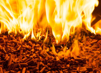 Инвестиционный кейс: пеллетное производство на основе лузги подсолнечника