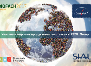 Иностранные инвестиции и экспортные возможности на международных выставках