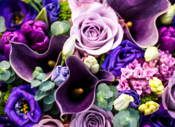 КРИПТОЦВЕТЫ - красивая и надежная инвестиция