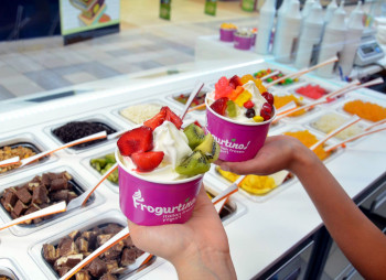 Frogurtino - итальянский замороженный йогурт: $29 000*