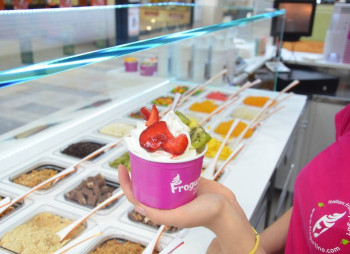 Frogurtino - итальянский замороженный йогурт: $29 000*