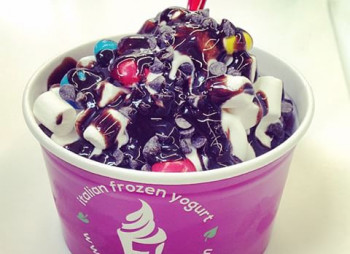 Frogurtino - итальянский замороженный йогурт: $29 000*