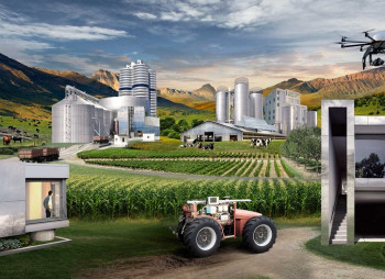 ТОП-10 самых привлекательных отраслей украинской экономики для инвестиций