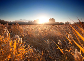 Украинская биржа и Госрезерв Украины запустили фьючерсные контракты