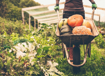 Organic producers pave way to European markets