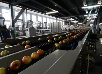 T.B.Fruit инвестирует 40 млн. евро в строительство завода в Польше