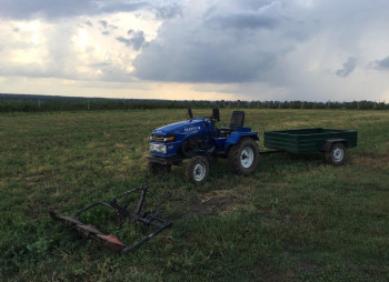 Organic Berry Farm, 100km South from Kyiv