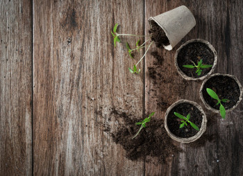 Венчурный капитал охладевает к проектам на ранних стадиях