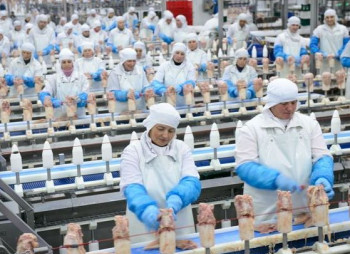 Производитель "Нашей Рябы" инвестирует более $250 млн. в птицефабрику и биогазовый комплекс