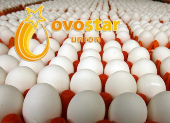 Крупный производитель яиц "Овостар" расширяет производство