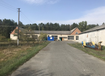 Выращивание и продажа товарной рыбы (карп, толстолоб, белый амур)