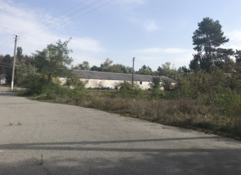 Выращивание и продажа товарной рыбы (карп, толстолоб, белый амур)