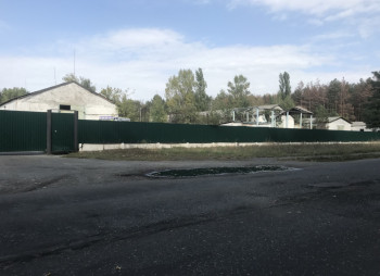 Выращивание и продажа товарной рыбы (карп, толстолоб, белый амур)