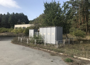 Выращивание и продажа товарной рыбы (карп, толстолоб, белый амур)