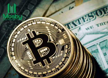 Cтроительство самой крупной майнинг фермы по добыче Bitcoin в Королевстве Лесото (ЮАР)