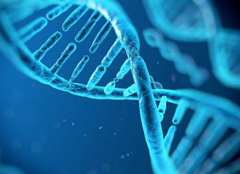 Украинский стартап, анализирующий геном с помощью ИИ, привлек $300 тыс