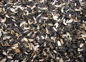 ViOil реализует на своем Винницком масложировом комбинате проект за $20 млн