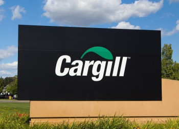 Cargill планирует вложить $100 млн. в переработку кукурузы в Китае