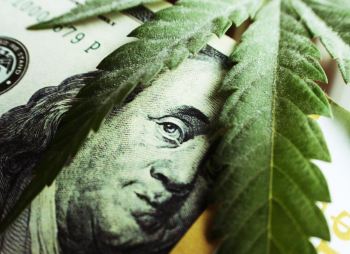 Лучшие венчурные сделки и фонды, инвестирующие в каннабис индустрию