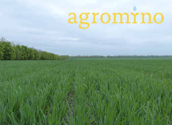 Председатель совета директоров Agromino увеличил свою долю в ней до 56,6%