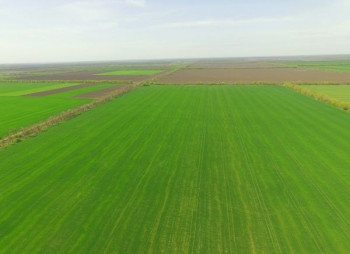 SALIC присматривается к покупке части бизнеса агрокомпании Сварог