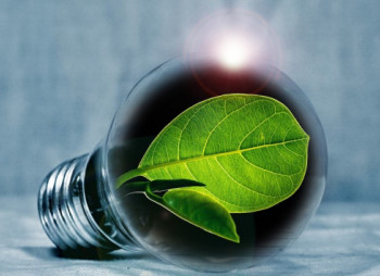 GEF и ЕБРР предоставят $55,8 млн. на развитие биоэнергетики в Украине